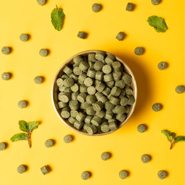 Classic Nuts Pudina Vati | Soothing and Refreshing | Ideal for Digestion | Pudina Mouth Freshener