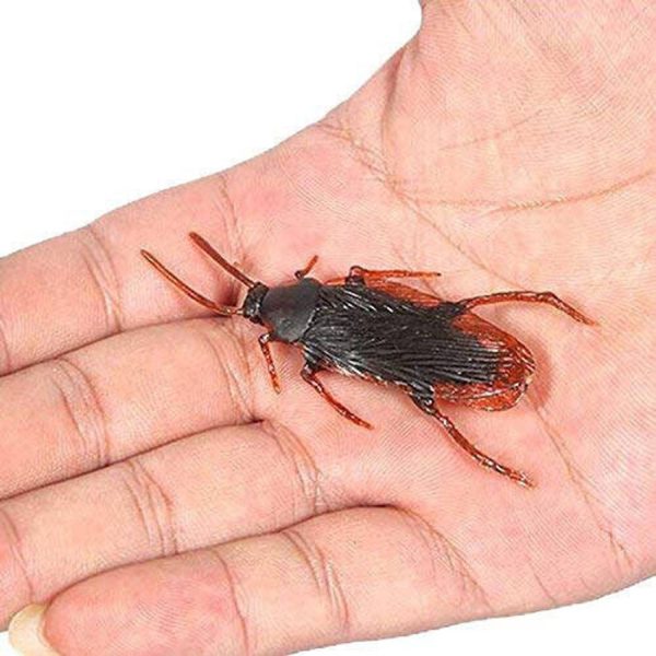 collectivemed Pack of 1 Fake Cockroach and 1 Fake Lizard Practical Jokes, Prank Toys Gag Toy Fake Cockroach and Fake Lizard Gag Toy