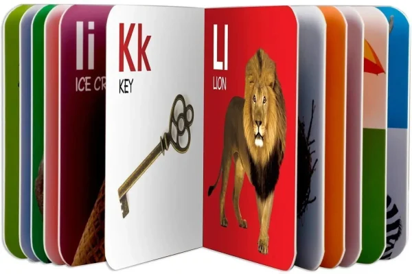 gurukanth Pocket Board Book Set of Alphabets, Fruits, Vegetable, Animals, Vehicles