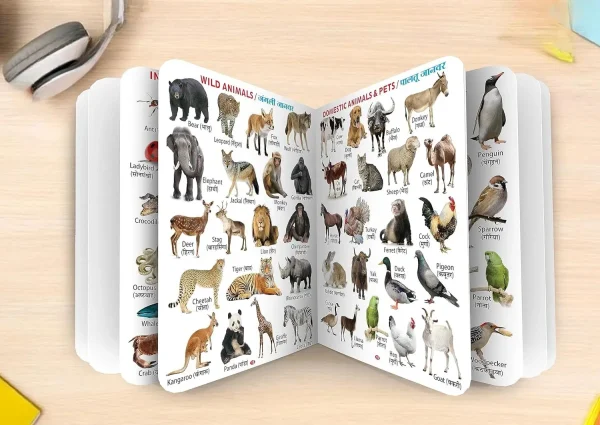 ZEQTOS My First Jumbo All in one big Size Board Book (English + Hindi)