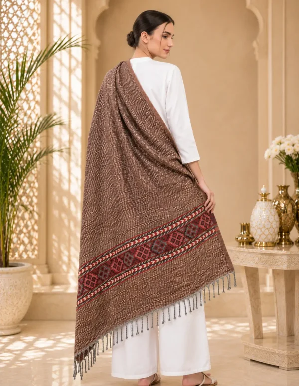 GK VILLA Acrylic, Wool Embroidered Women Shawl