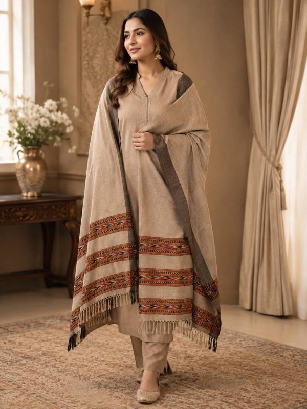 GK VILLA Acrylic, Wool Embroidered Women Shawl