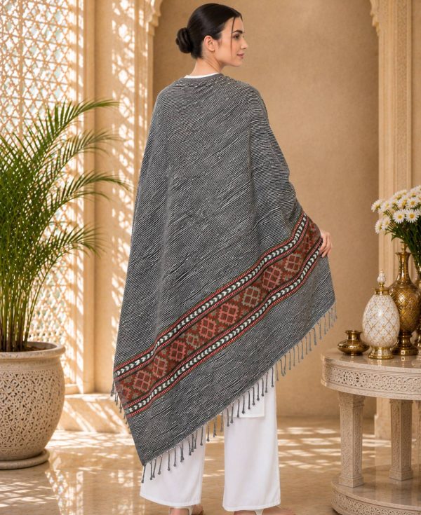 GK VILLA Acrylic, Wool Embroidered Women Shawl