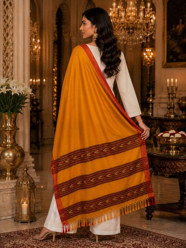 GK VILLA Acrylic, Wool Embroidered Women Shawl