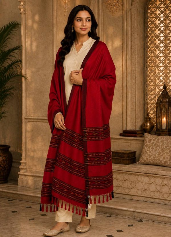 GK VILLA Acrylic, Wool Embroidered Women Shawl