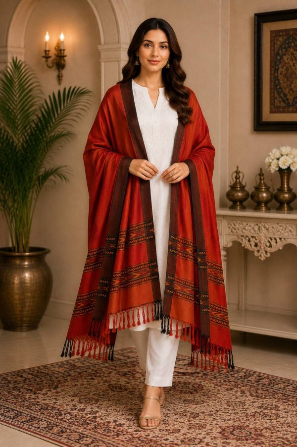 GK VILLA Acrylic, Wool Embroidered Women Shawl
