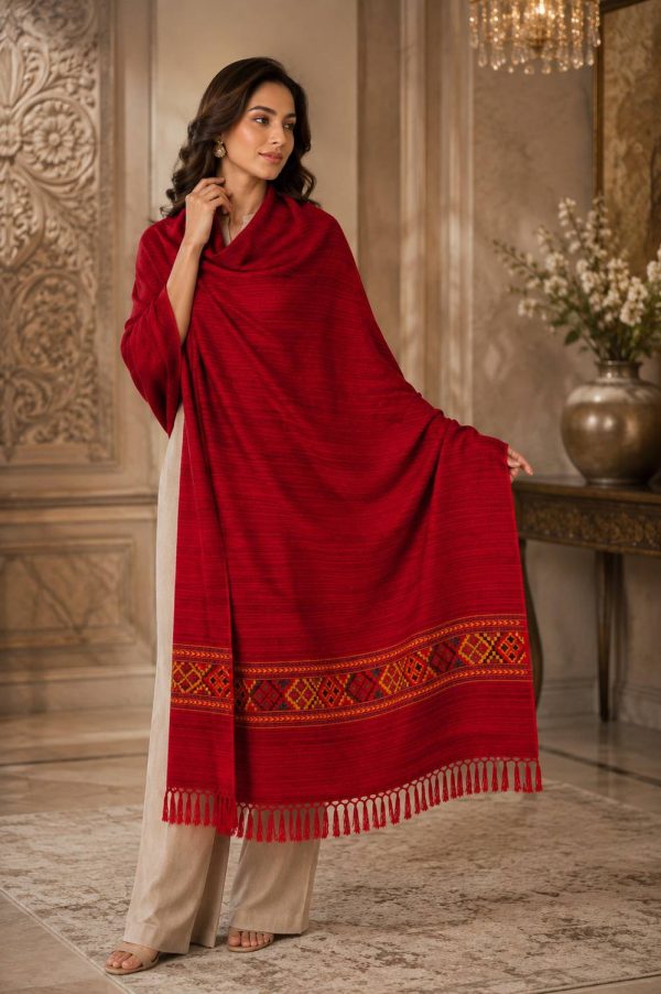 GK VILLA Acrylic, Wool Embroidered Women Shawl