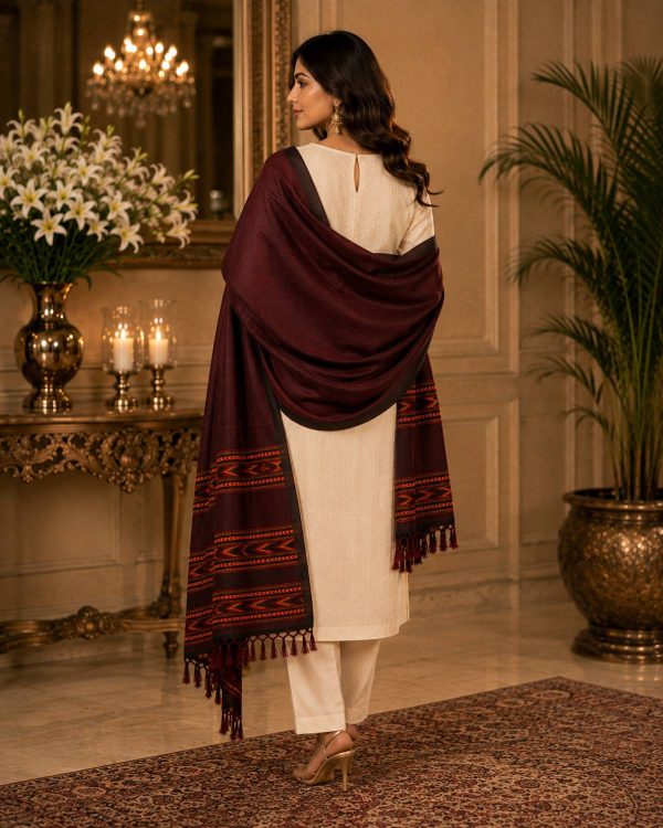GK VILLA Acrylic, Wool Embroidered Women Shawl