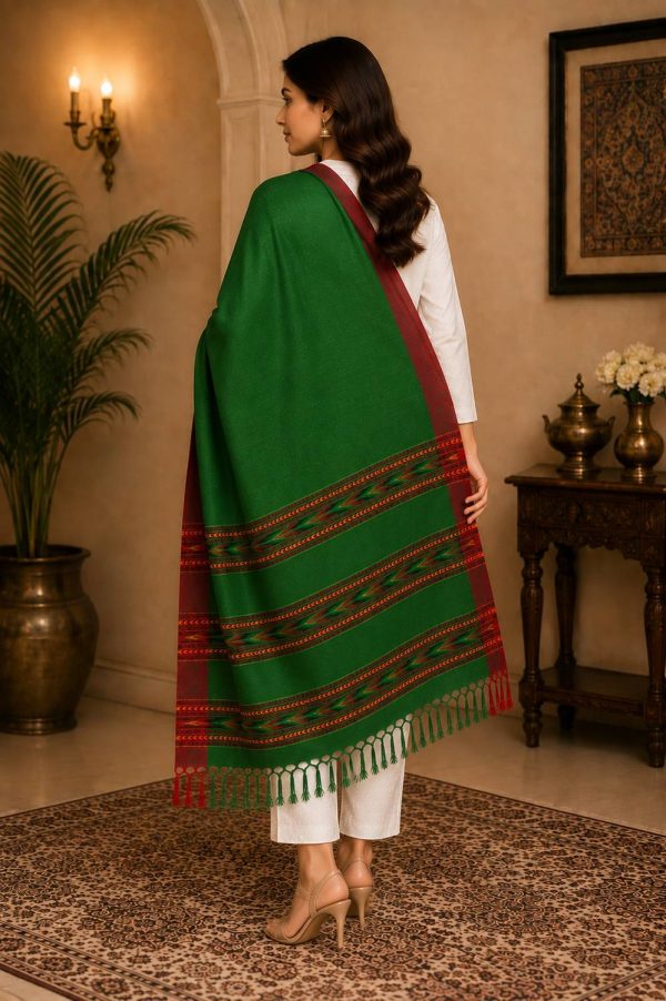 GK VILLA Acrylic, Wool Embroidered Women Shawl