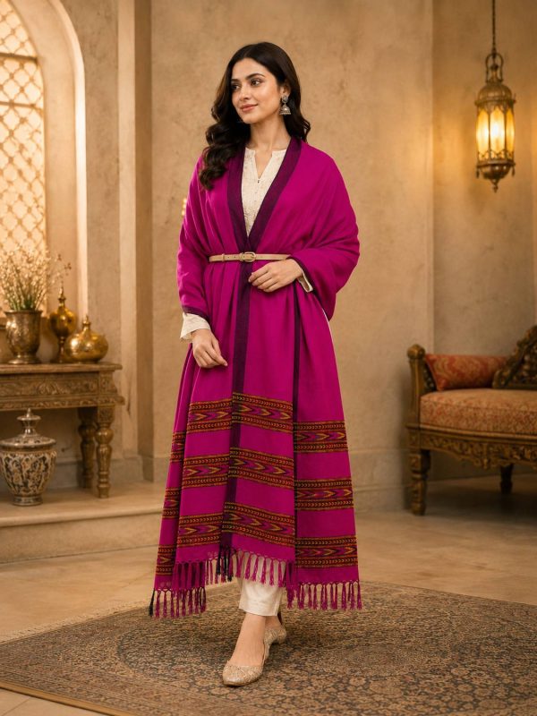 GK VILLA Acrylic, Wool Embroidered Women Shawl