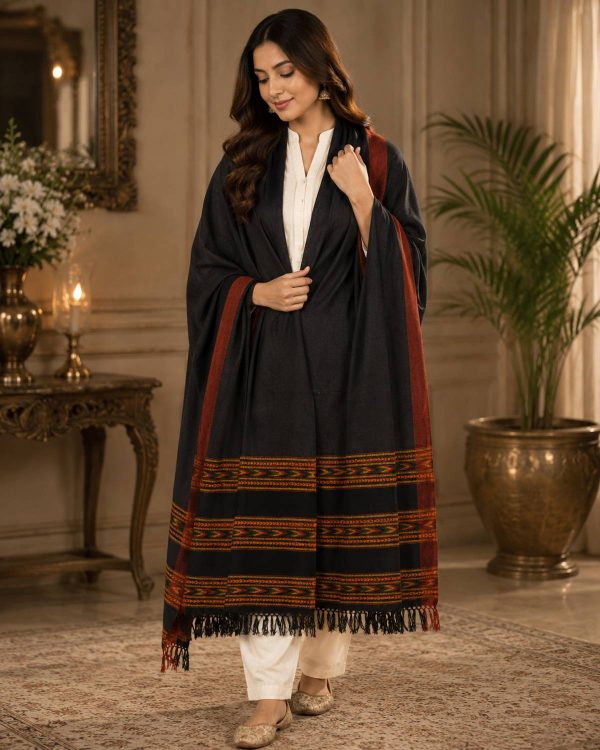 GK VILLA Acrylic, Wool Embroidered Women Shawl