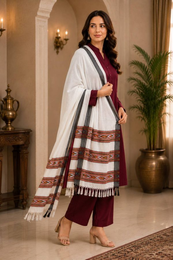 GK VILLA Acrylic, Wool Embroidered Women Shawl