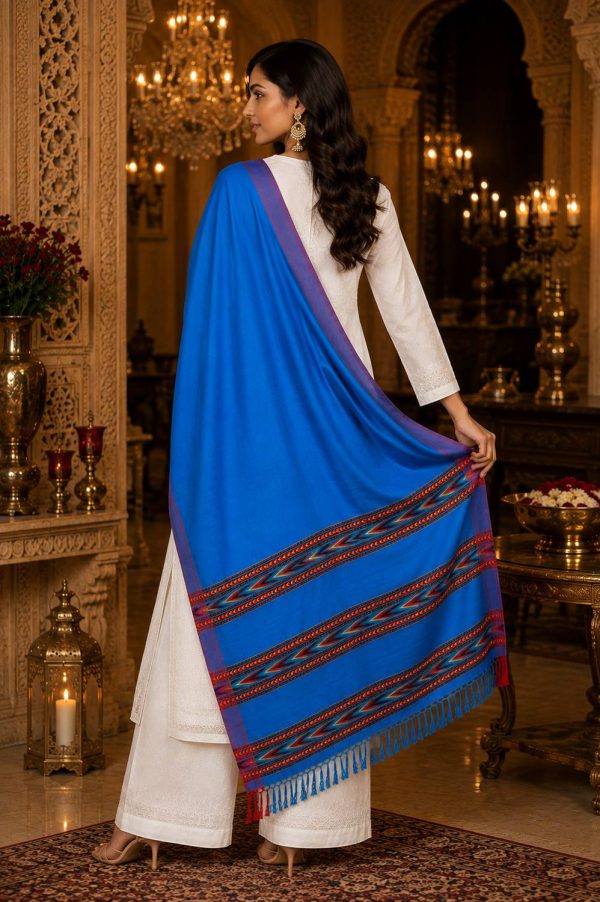 GK VILLA Acrylic, Wool Embroidered Women Shawl