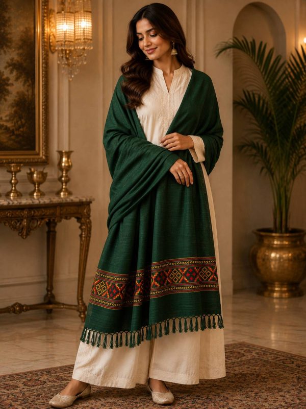 GK VILLA Acrylic, Wool Embroidered Women Shawl