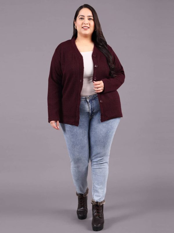hifzaa Self Design V Neck Casual Women Maroon Sweater