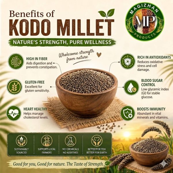 Magizhan Products MAGIZHAN Kodo Millet 100gms | Varagu Rice | Unpolished Kodo Millet