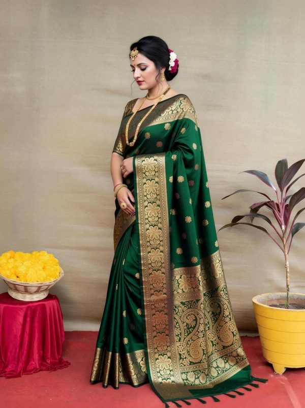 Mishowglitter Embroidered Patola Jacquard, Pure Silk Saree