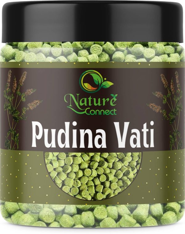 NATURE CONNECT Pudina Vati Pudina Pachak Sweet & Sour Pudina Goli Chatpata Pudina Goli|Jar Pack Pudina Candy