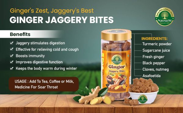 Navruchi Ginger+Shahi Mukhwas (Paan)+Coconut Jaggery Combo Cubes Jaggery