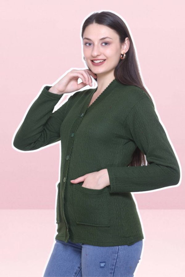 S.L. Madhok Solid V Neck Casual Women Dark Green Sweater