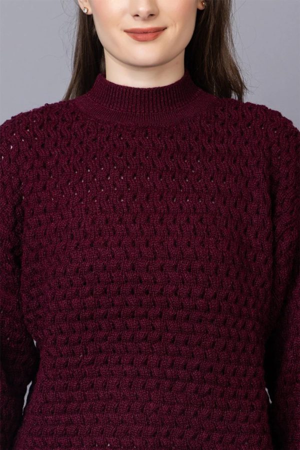 StyleDusk Solid High Neck Casual Women Purple Sweater