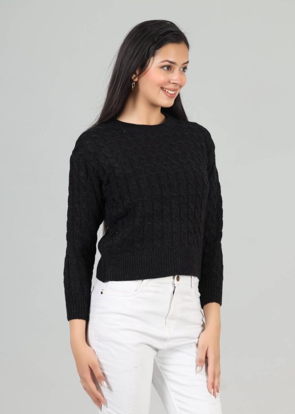 WOOLBERRY Self Design Round Neck Casual Women Black Sweater