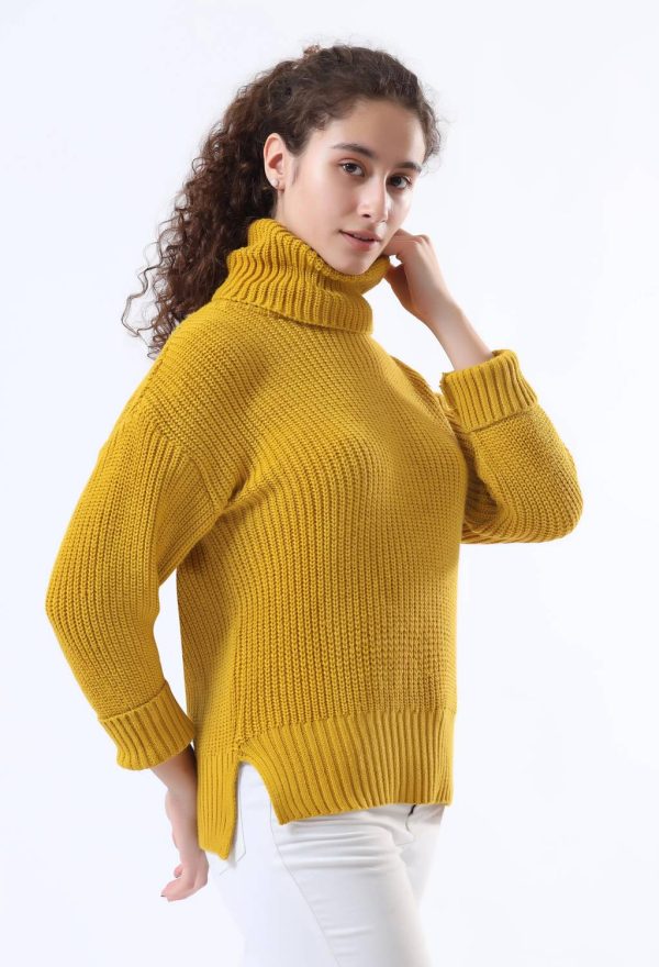 WOOLBERRY Striped High Neck Casual Women Yellow Sweater