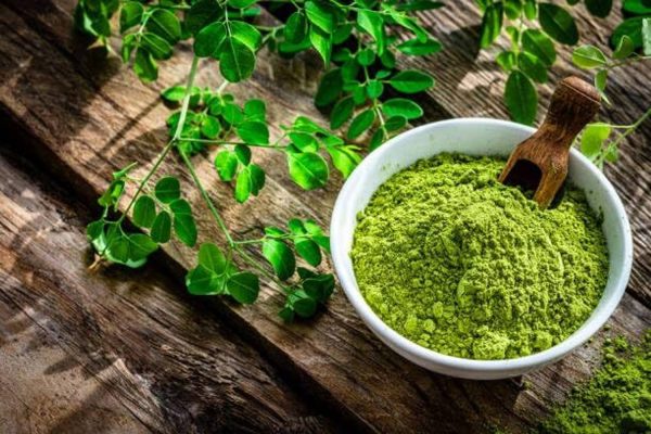 Zitlang Organic Produce Moringa Powder